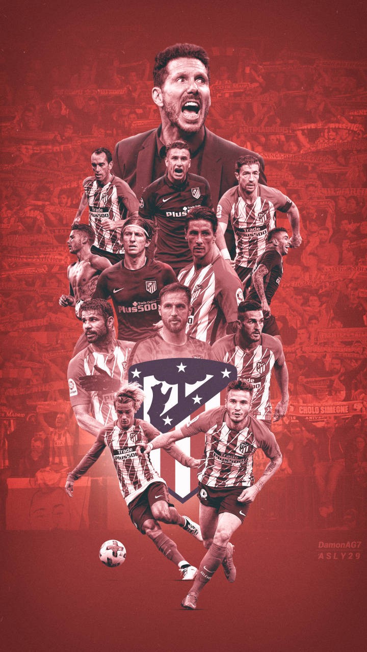 不看好邵佳一执教国足❗详细介绍邵佳一履历❗（邵佳一执教国足前景存疑：履历详解）